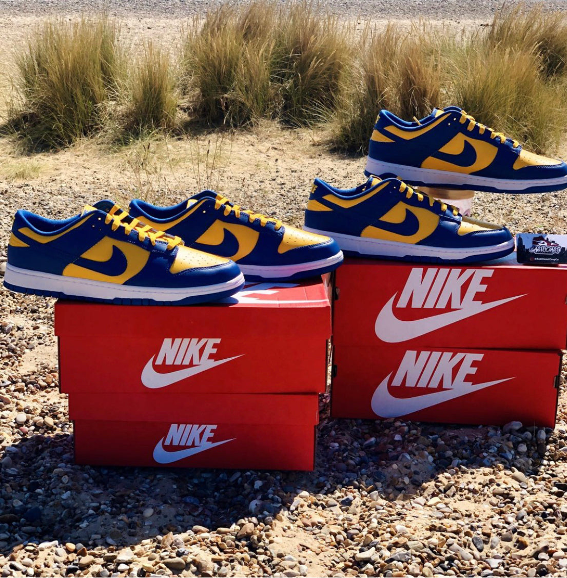 Nike Dunk Low - UCLA